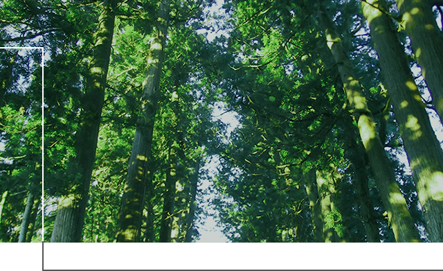 VIP 引き継ぎ オンカジオーナー