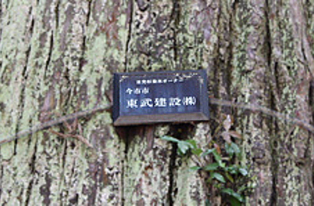 VIP 引き継ぎ オンカジ